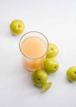 Amla, Indian Gooseberry (Phyllanthus Emblica) -Hot Sale Sow Exotic Store 0155d9 3b5de06aba48400d81ff751687c2b82b mv2 d 1869 2800 s 2