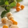 Hawaiian Poha Berry (Physalis Peruviana)