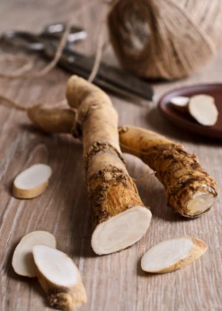 Horseradish (Armoracia Rusticana)