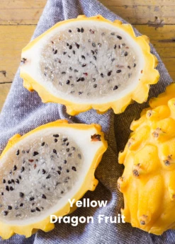 Dragon Fruit Bundle: 'Edgar's Baby' Dragon Fruit & Sweet Yellow Dragon Fruit -Hot Sale Sow Exotic Store 1 8