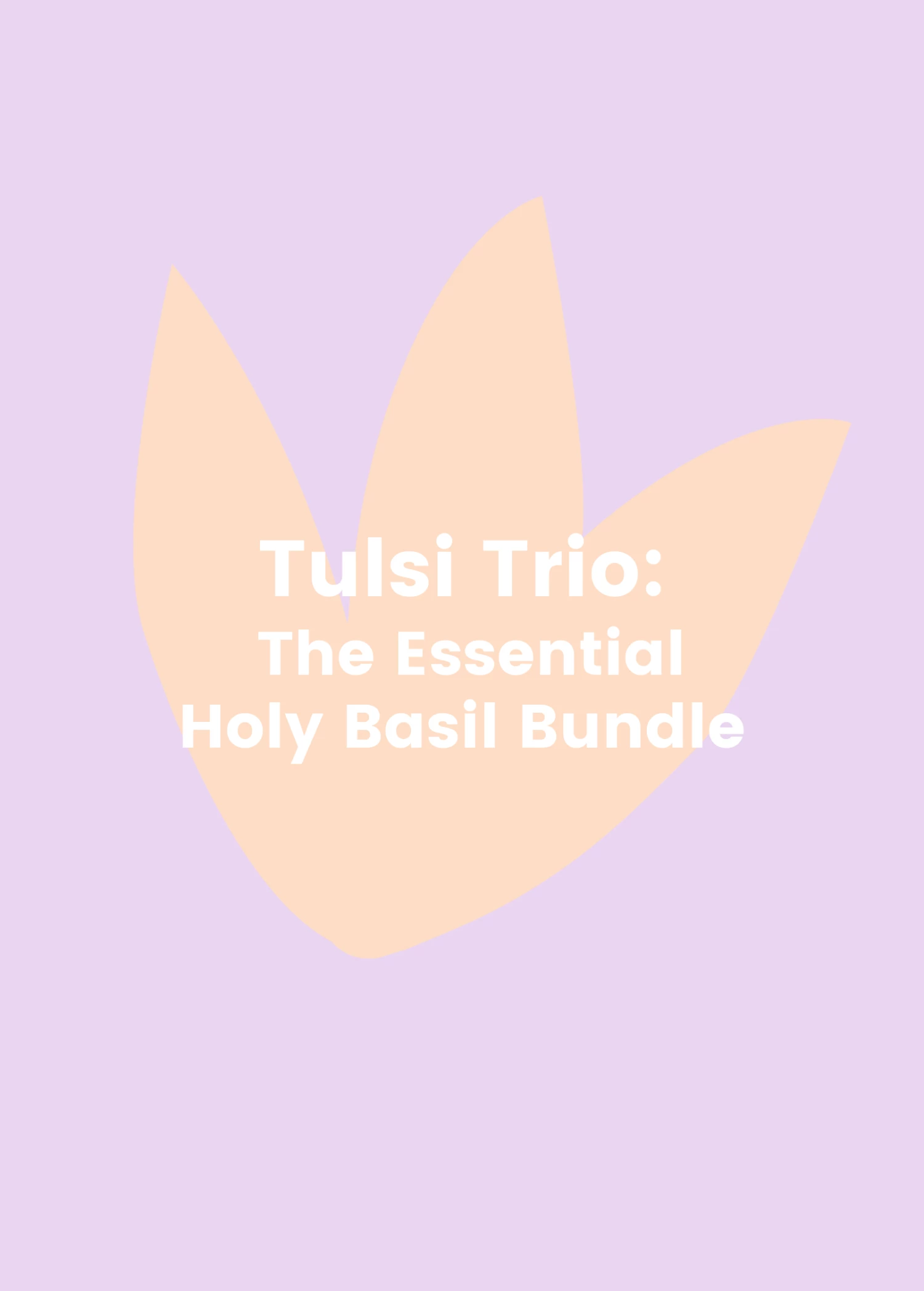 Tulsi Trio: The Essential Holy Basil Bundle 1 Tulsi Trio: The Essential Holy Basil Bundle