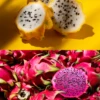 Dragon Fruit Bundle: 'Edgar's Baby' Dragon Fruit & Sweet Yellow Dragon Fruit