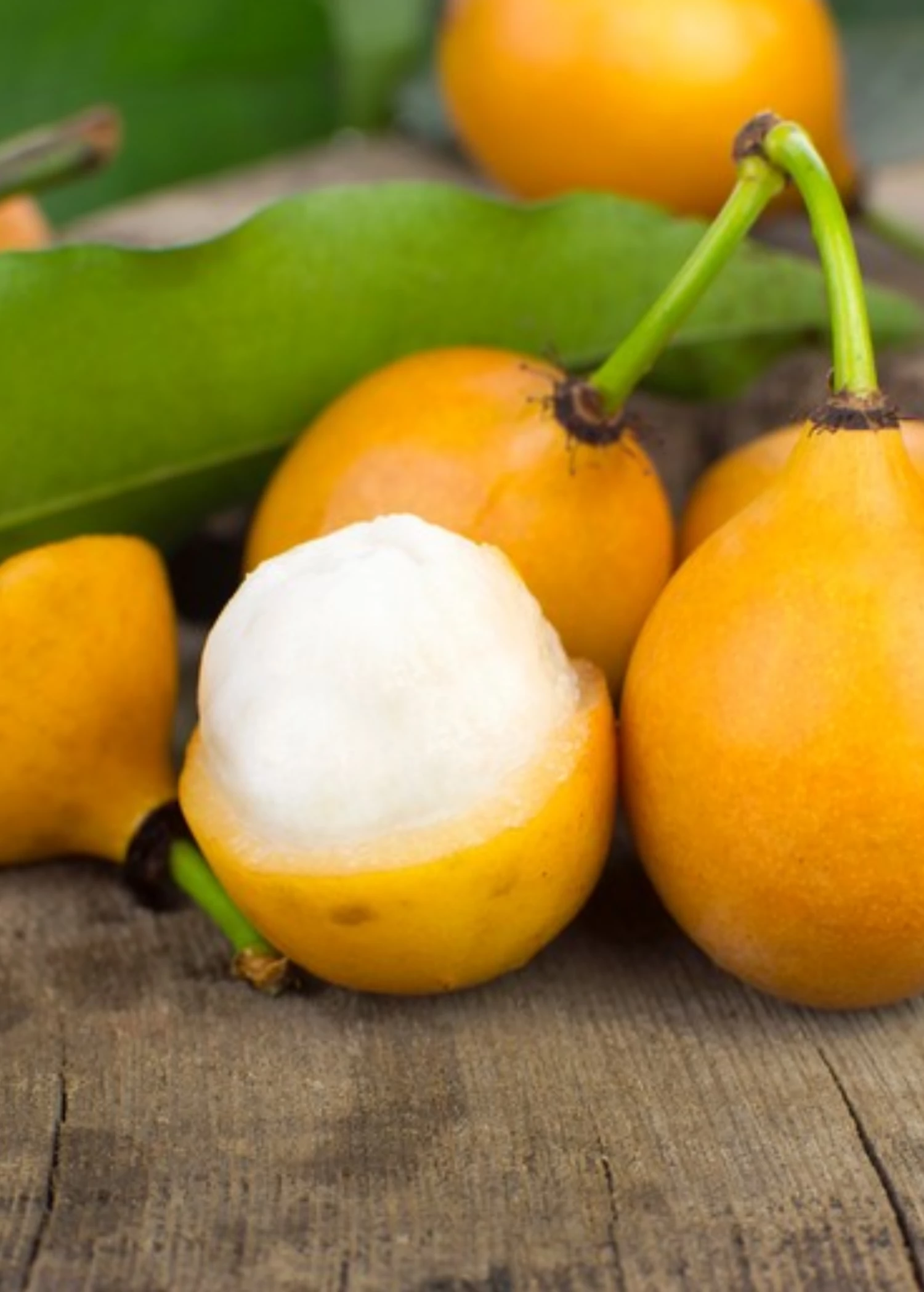 Achacha, Achachairú (Garcinia Humilis) 1 Achacha, Achachairú (Garcinia Humilis)