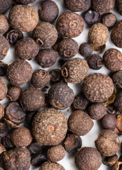 Allspice (Pimenta Dioica) -Hot Sale Sow Exotic Store Allspice plants for sale SowExotic.com