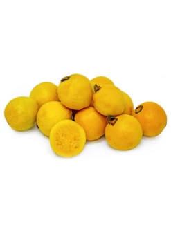 Brazilian Guava (Psidium Angulatum) -Hot Sale Sow Exotic Store B13F962E 3043 45EA BC21 659242927E40