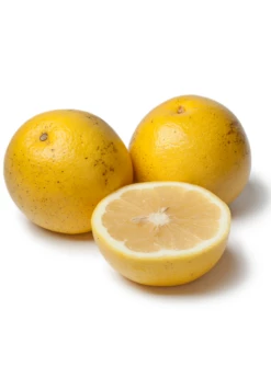 White Grapefruit (Citrus Paradisi)