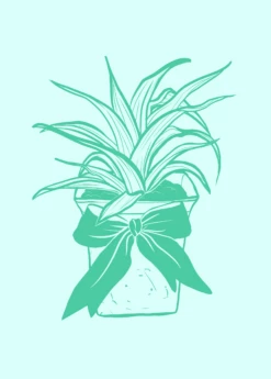 Digital Gift Card -Hot Sale Sow Exotic Store GiftCardGraphics 1 bf6ca498 460b 41fd bd4a 707ed9e06a12