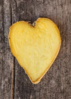 Ginger, Yellow (Zingiber Officinale) -Hot Sale Sow Exotic Store Ginger Zingiber officinale root heart