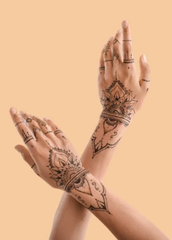 Henna (Lawsonia Inermis) -Hot Sale Sow Exotic Store Henna Lawsoniainermis PlantsforSale SowExotic.com Eugeniareinwardtiana 3