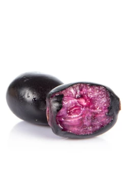 Jamun (Syzygium Cumini) -Hot Sale Sow Exotic Store JamunTreesforsale SowExotic.com 3