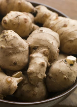 Jerusalem Artichoke (Helianthus Tubersosus) -Hot Sale Sow Exotic Store Jerusalemartichokeplantforsalesowexoticnursery 1