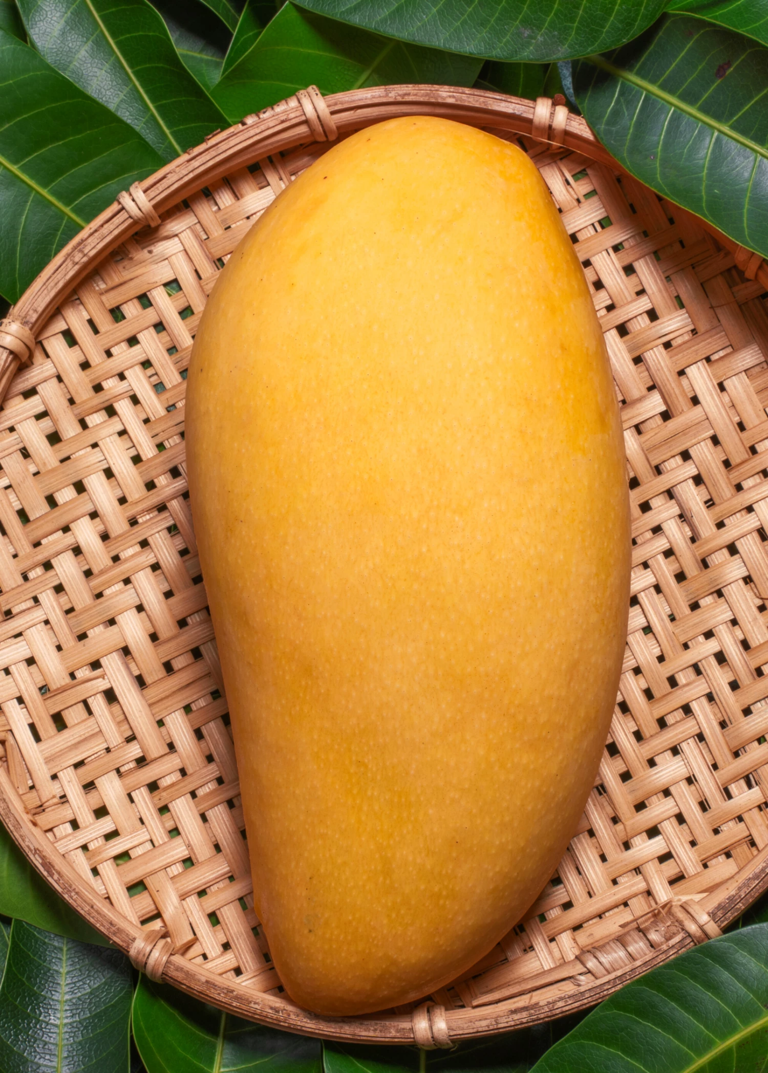Mango 'Nam Doc Mai' (Mangifera Indica) 1 Mango 'Nam Doc Mai' (Mangifera Indica)