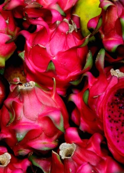 Dragon Fruit, Red 'Tricia' (Hylocereus Polyrhizus) -Hot Sale Sow Exotic Store Red Dragon Fruit Tricia Hylocereus costaricensis