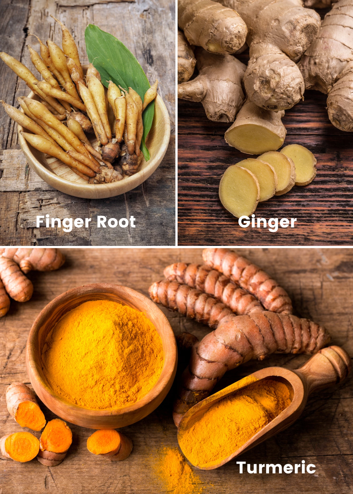 Roots Bundle: Turmeric, Finger Root, & Ginger 1 Roots Bundle: Turmeric, Finger Root, & Ginger