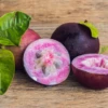 Purple Caimito, Star Apple (Chrysophyllum Cainito)