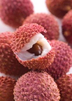 Lychee 'Brewster' (Litchi Chinensis) -Hot Sale Sow Exotic Store Sow Exotic Plant Nursery lychee 1