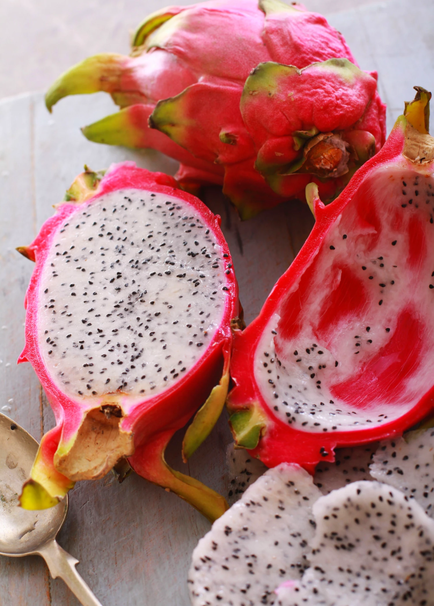 Dragon Fruit, White 'Vietnamese Jaina' (Hylocereus Undatus) 2 Dragon Fruit, White 'Vietnamese Jaina' (Hylocereus Undatus) - Image 2