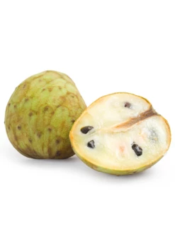 Cherimoya (Annona Cherimola) 5 Cherimoya (Annona Cherimola) -Hot Sale Sow Exotic Store cherimoyasowexotic