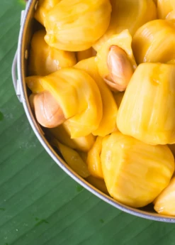 Jackfruit 'Crunchy' (Artocarpus Heterophyllus) -Hot Sale Sow Exotic Store crunchjackfruitfruittreeliveplantforsalesowexotic