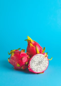 Dragon Fruit, White 'Vietnamese Jaina' (Hylocereus Undatus) 7 Dragon Fruit, White 'Vietnamese Jaina' (Hylocereus Undatus) -Hot Sale Sow Exotic Store dragonfruitpitayasowexotic