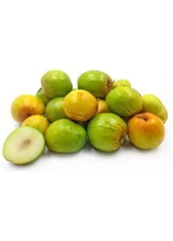 Indian Jujube (Ziziphus Mauritiana)