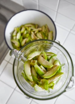 June Plum (Spondias Dulcis) -Hot Sale Sow Exotic Store juneplymsowexotic 3