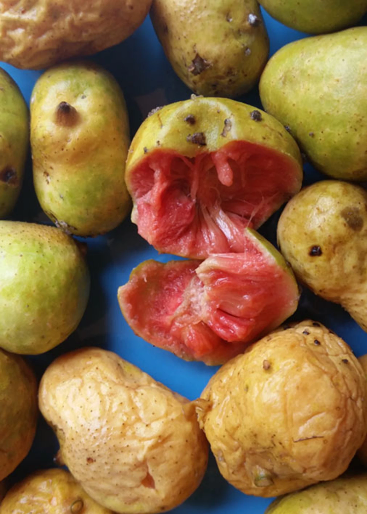 Kwai Muk (Artocarpus Hypargyraeus) 1 Kwai Muk (Artocarpus Hypargyraeus)