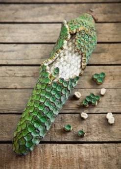 Monstera Deliciosa, Swiss Cheese Plant 12 Monstera Deliciosa, Swiss Cheese Plant -Hot Sale Sow Exotic Store monsteraplantforsalesowexotic