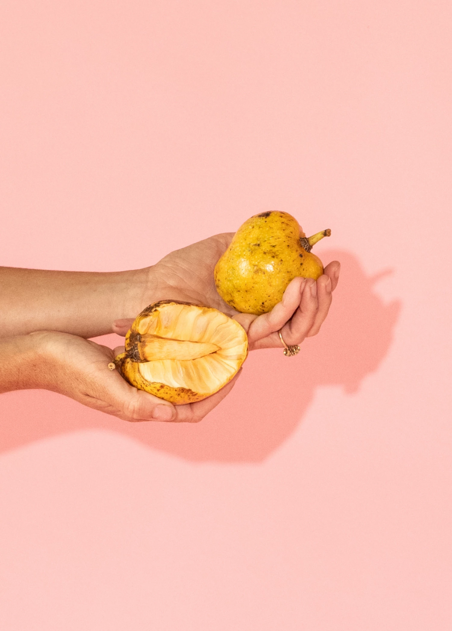 Pond Apple (Annona Glabra) 1 Pond Apple (Annona Glabra)