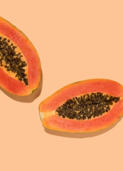 Papaya, 'Dwarf Red Lady' (Carica Papaya) -Hot Sale Sow Exotic Store sowexoticpapaya 1