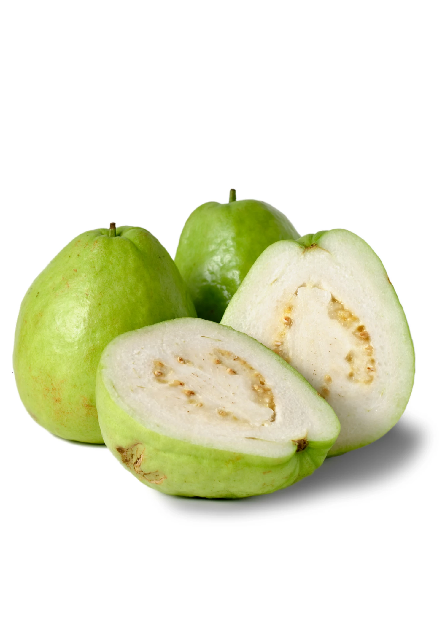 Guava, Thai White (Psidium Guajava) 1 Guava, Thai White (Psidium Guajava)